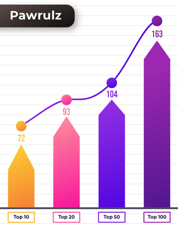 SEO portfolio for Vivek Sharma